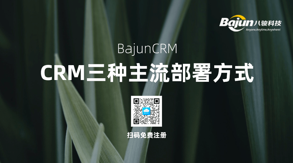 CRM的部署方式