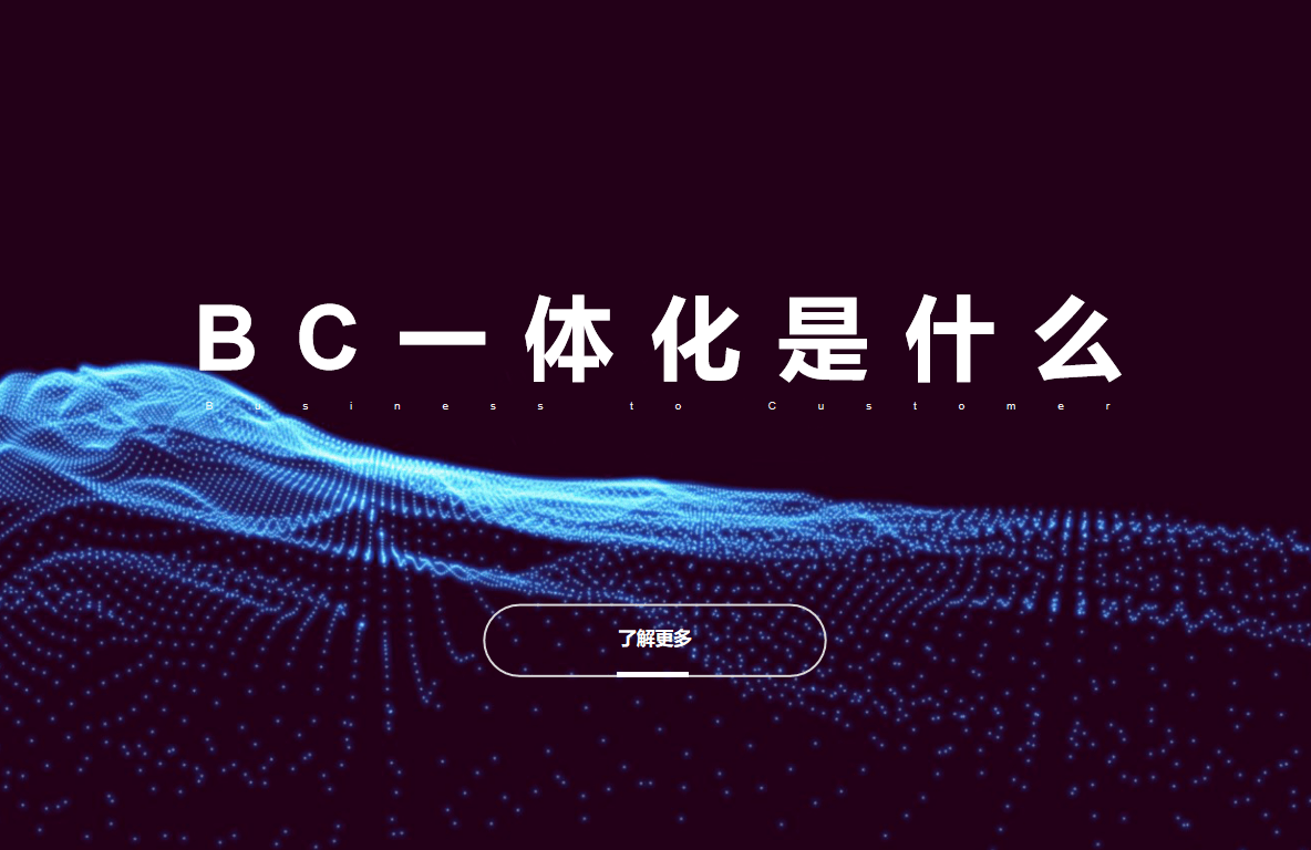 BC一體化